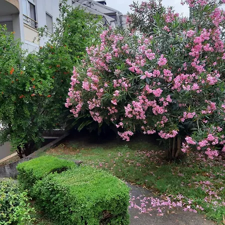 Ljubovic F Podgorica